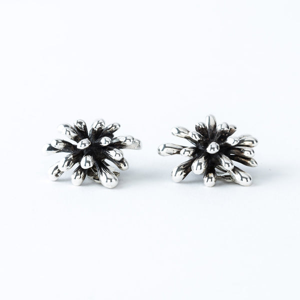 Sterling Silver Firework Earrings